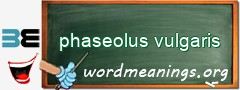 WordMeaning blackboard for phaseolus vulgaris